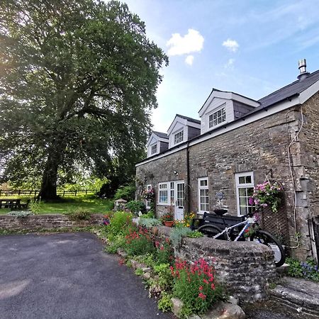 Swansea Valley Holiday Cottages Cilybebyll Eksteriør billede