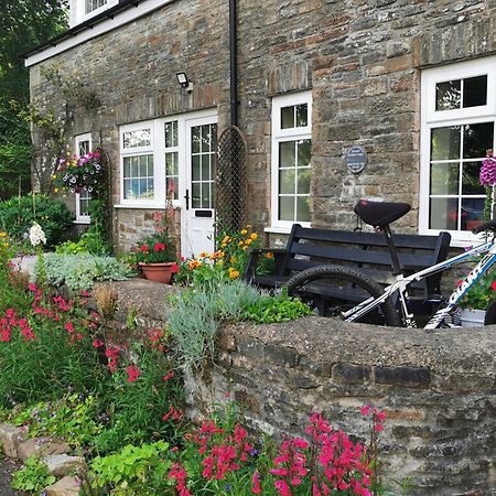 Swansea Valley Holiday Cottages Cilybebyll Eksteriør billede