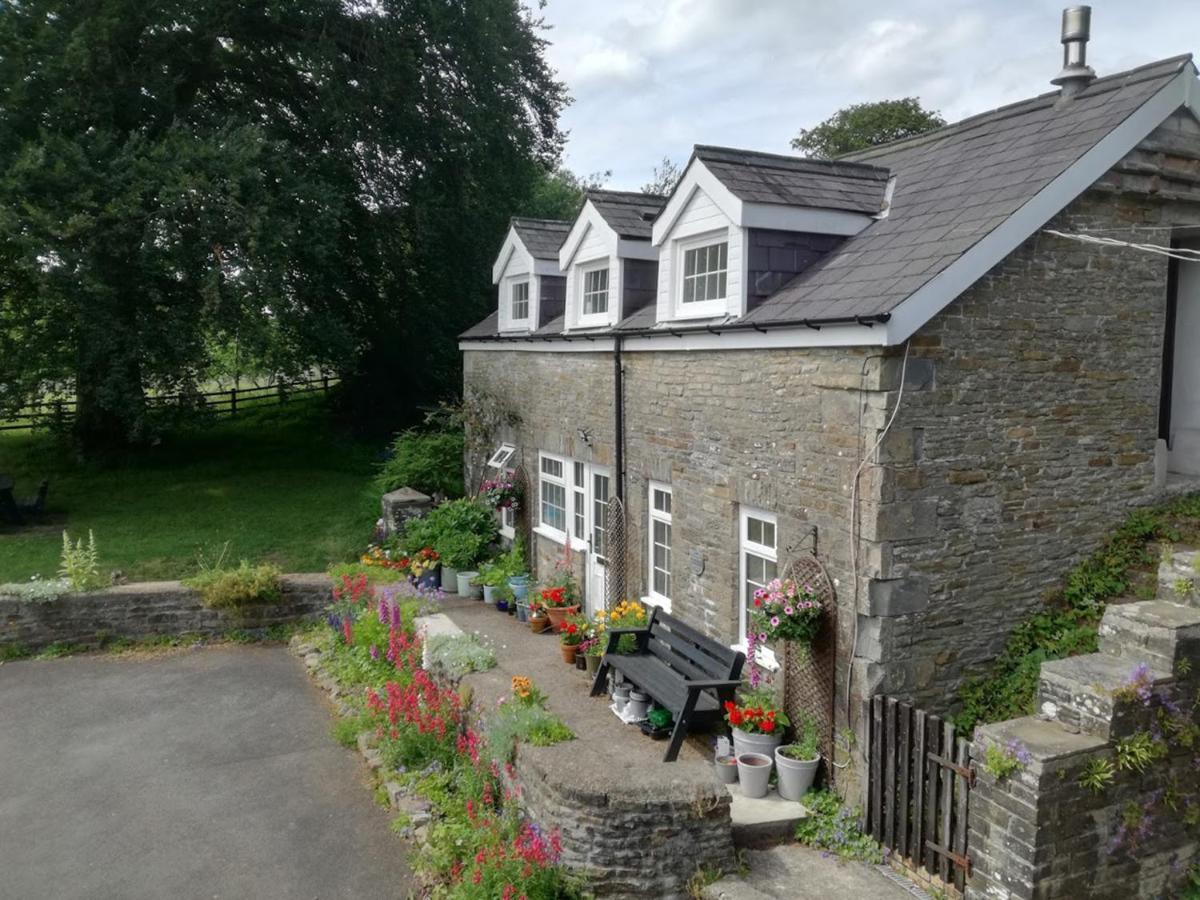 Swansea Valley Holiday Cottages Cilybebyll Eksteriør billede