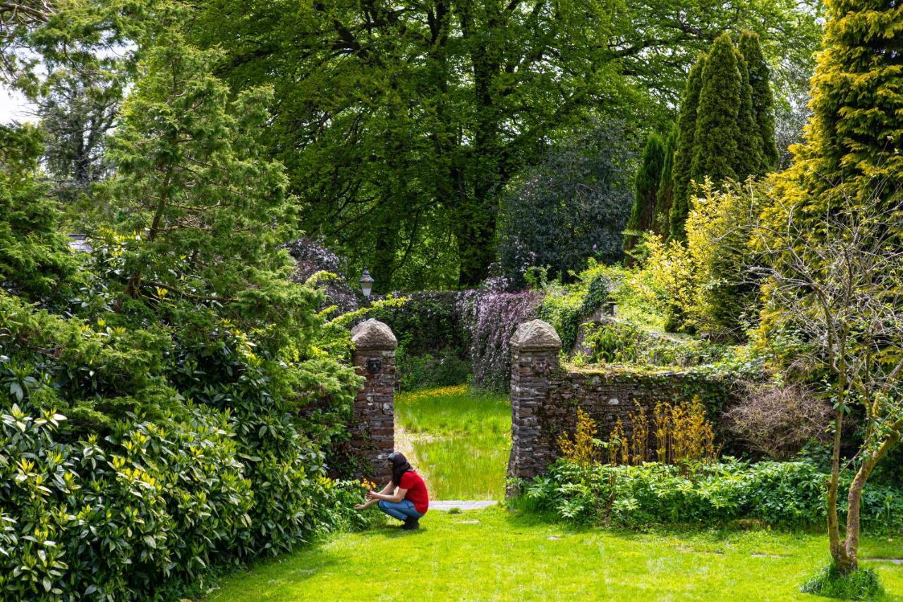 Swansea Valley Holiday Cottages Cilybebyll Eksteriør billede