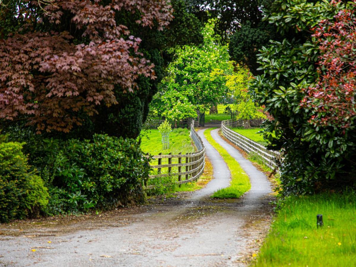 Swansea Valley Holiday Cottages Cilybebyll Eksteriør billede