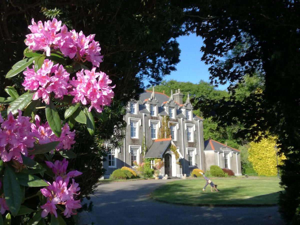 Swansea Valley Holiday Cottages Cilybebyll Eksteriør billede