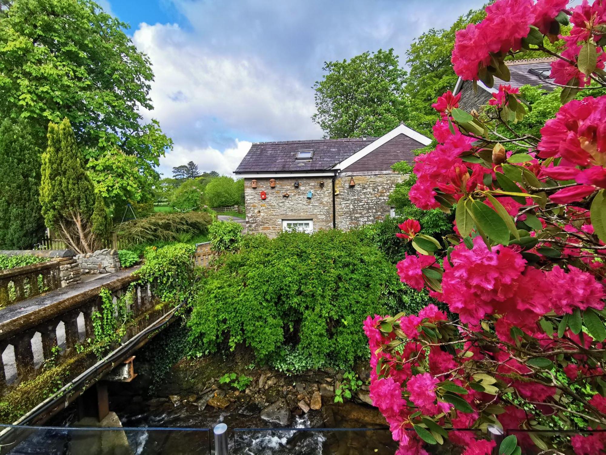 Swansea Valley Holiday Cottages Cilybebyll Eksteriør billede