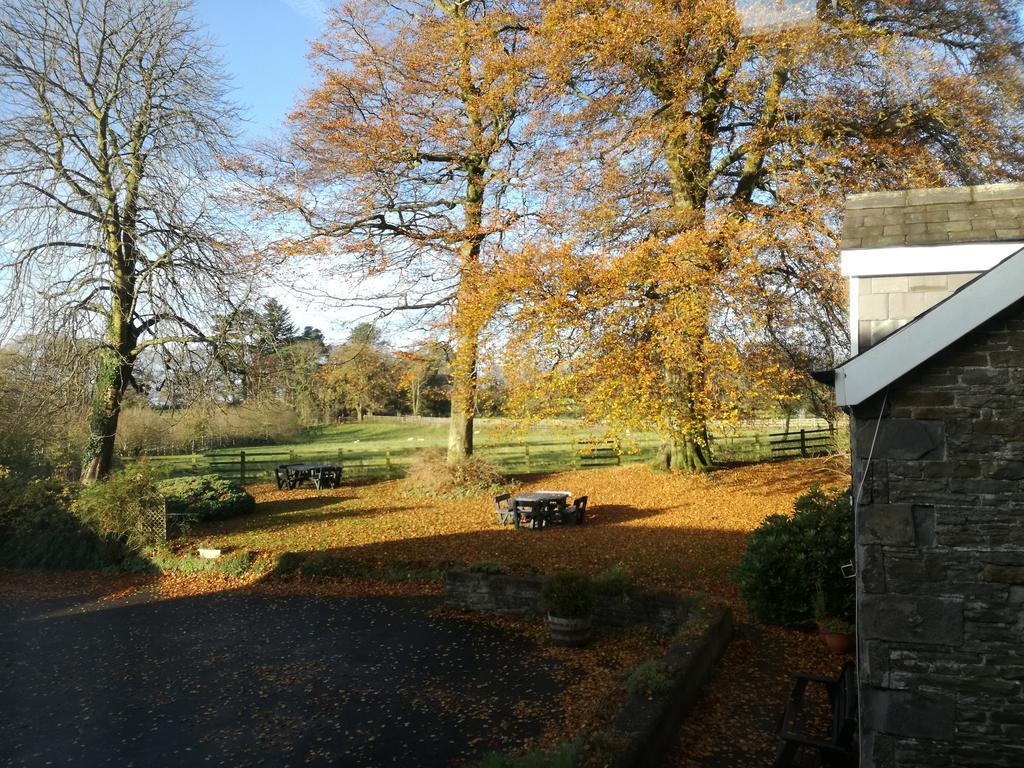 Swansea Valley Holiday Cottages Cilybebyll Eksteriør billede
